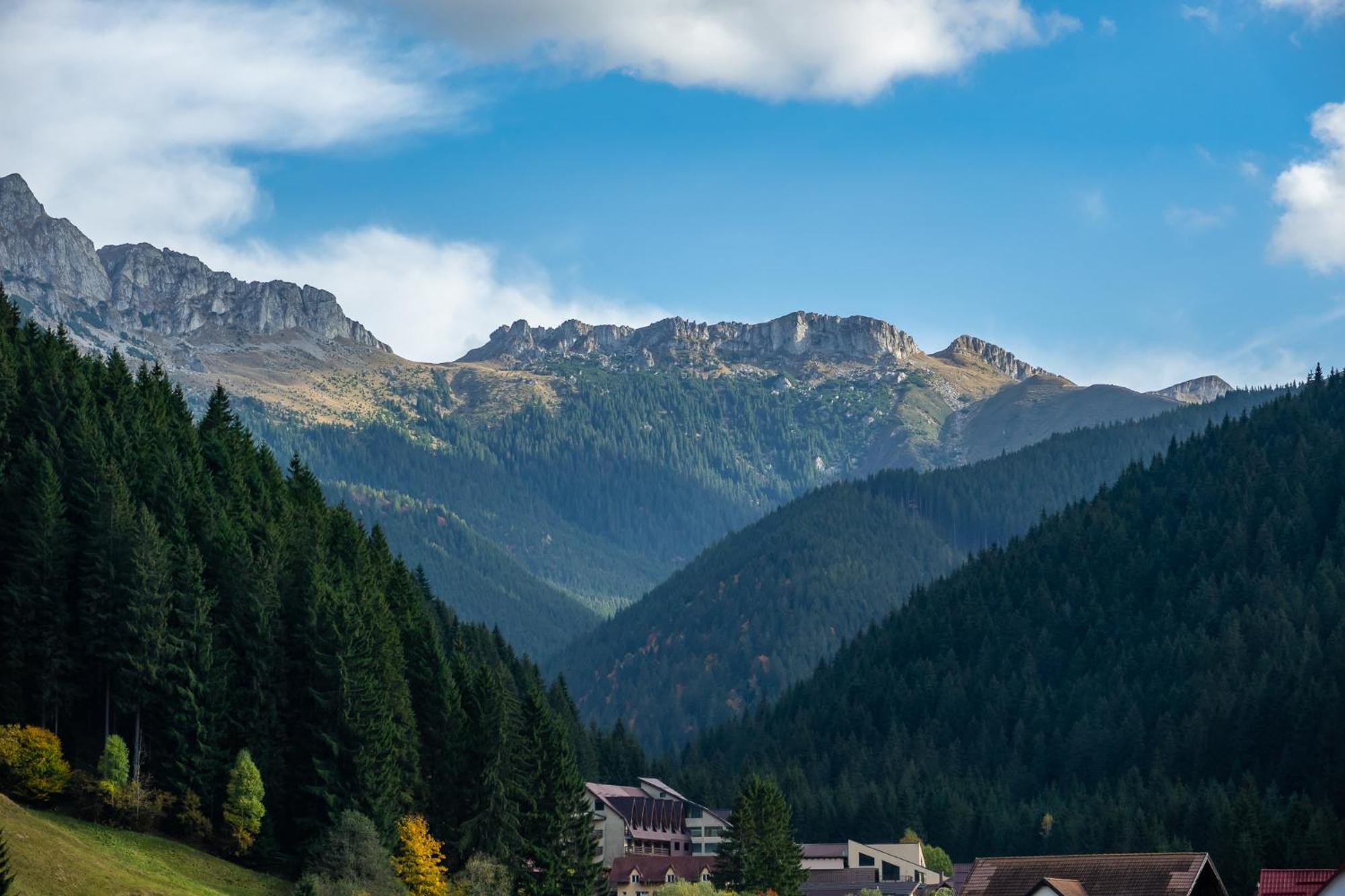 Poiana Soarelui Bed & Breakfast Moeciu De Sus Bagian luar foto